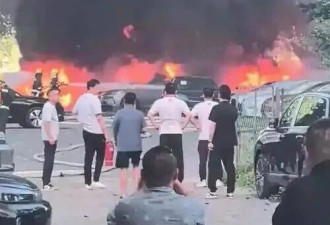 74岁老人嫌杨絮碍事竟将其点燃,20辆新能源车被烧毁