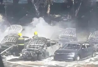74岁老人嫌杨絮碍事竟将其点燃,20辆新能源车被烧毁