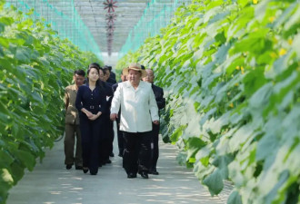 金正恩携妻女视察朝鲜新义州温室农场...