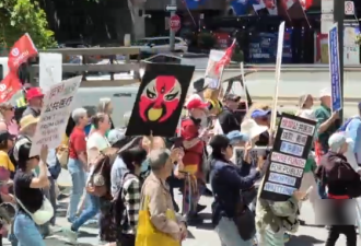 大批华人加入医疗抗议活动，国剧脸谱亮相游行现场！