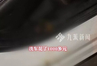 四川女乘客在网约车座椅上排泄 司机崩溃愤怒：她全程清醒