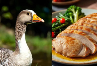 这3种饭菜 正在悄悄“伤害”你的大脑