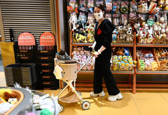 上海女子800元买猫 背上7000多元“猫贷”
