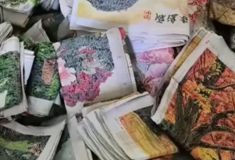 高段位“杀鸟盘”，坑惨已婚女