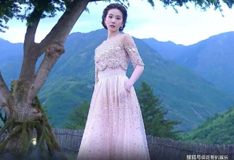 刘诗诗VOGUE活动生图翻车，精修与生图差距悬殊，状态断崖式下滑