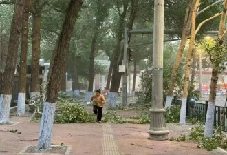 几大天灾齐聚东北 乱成了一锅粥