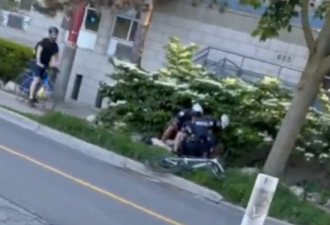 多伦多自行车闯停牌被当街制服，警方“过度执法”惹争议！