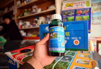 女儿喝百草枯丧命，百草枯发明者如今怎样了