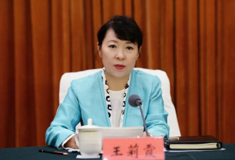 内蒙古自治区政府原主席王莉霞被提起公诉