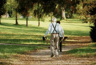 哈佛首个健康长寿报告发布 别再迷信“神药”