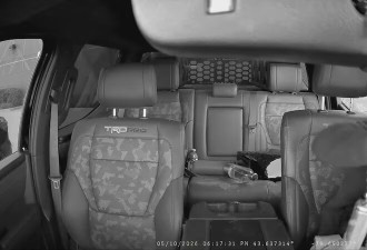 切割机、钢锯齐上阵! 安省车主装了5种防盗设备, 仍遭暴力毁车