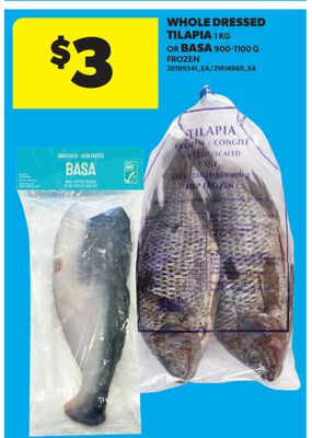整条吴郭鱼 1kg / 巴沙鱼 900-1100g