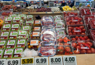 加拿大牛肉、咖啡、蔬菜全涨价，部分商品一年涨幅超过20%