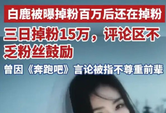白鹿掉粉近百万后还在掉粉！仅仅三日再流失15万粉丝