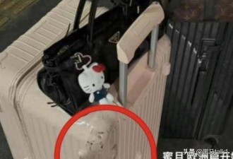家里破产后，华谊公主王文也面相都变了