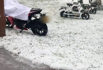 河北固安突降冰雹近半小时，街面似被冰雪覆盖