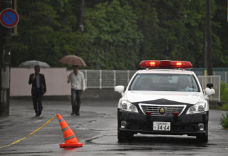 高智商黑熊“打开上锁窗逃了” 福岛居民人心惶惶
