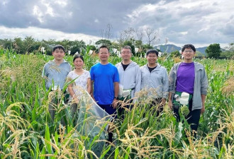 喂猪有望不用进口大豆？中国科学家找到关键基因