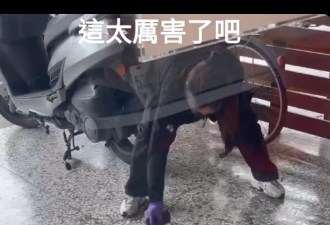 超猛女店员徒手抓蛇 民众直呼“老板应加薪”
