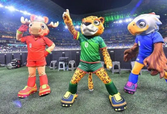 BBC：世界杯48队分组 时间与夺冠热门一次看