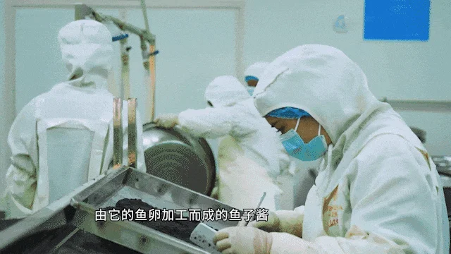 被神化的外国食材 中国都在量产了