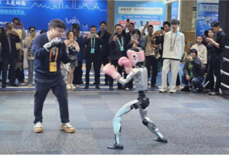 不到一万就能入手 中国人形机器人价格崩盘