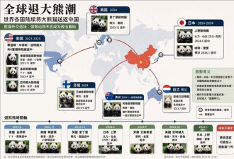 全球爆发了前所未有的“退猫潮”