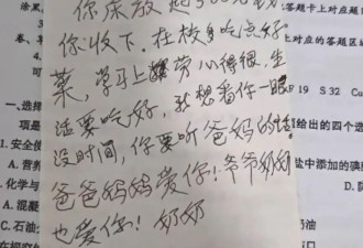 “这是奶奶半夜给你抄写的，说高考可能要考的……”