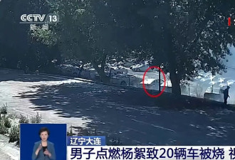 男子点燃杨絮致20辆车被烧该如何定责？专家解读