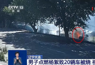 男子点燃杨絮致20辆车被烧该如何定责？专家解读