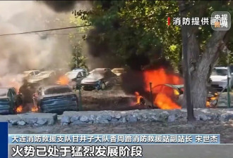 男子点燃杨絮致20辆车被烧该如何定责？专家解读