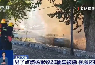 男子点燃杨絮致20辆车被烧该如何定责？专家解读