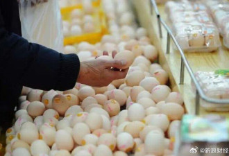 “涨价真的太明显” 中国鸡蛋一天一个价