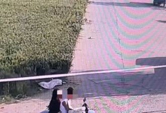 一只网红边牧的死亡，和一场注定艰难的维权
