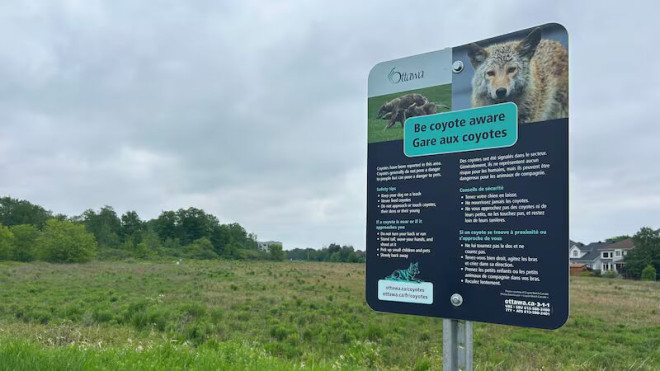 Lalande Conservation Park 郊狼警告标志
