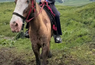 杨振宁遗孀新疆旅游，49岁翁帆化淡妆烫卷发，她脸上有了笑容