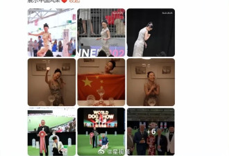 霍思燕爱犬又夺冠，胖到140斤穿旗袍好圆润
