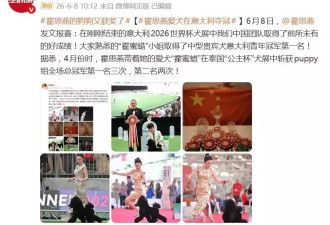 霍思燕爱犬又夺冠，胖到140斤穿旗袍好圆润
