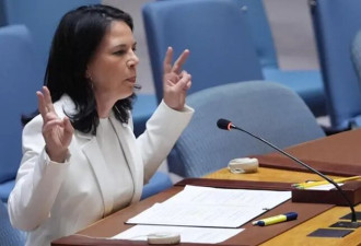 德国在联合国遭遇历史性惨败,国内将矛头指向她！