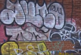video-image