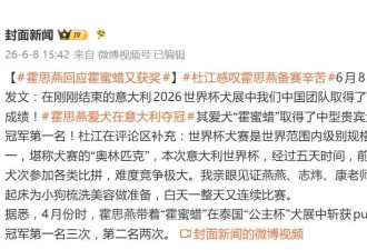霍思燕爱犬在意大利夺冠，杜江曝其“凌晨12:00点起床为小狗梳洗美容做准备”