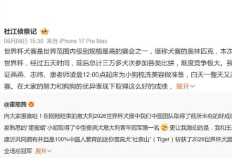 霍思燕爱犬在意大利夺冠，杜江曝其“凌晨12:00点起床为小狗梳洗美容做准备”