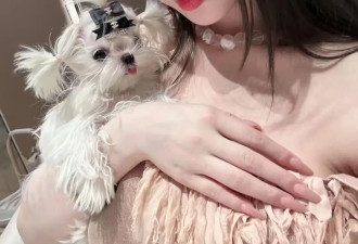 100支玻尿酸硬灌臀胯！梅尼耶准新娘为拼身材下血本，这画面看着都肉疼