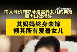向太称刘亦菲是自己见过富养女儿最好的典范：“没听过有人说她的坏话，圈内口碑很好”