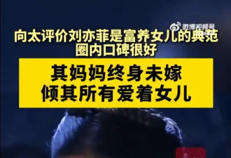 向太称刘亦菲是自己见过富养女儿最好的典范：“没听过有人说她的坏话，圈内口碑很好”