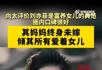 向太称刘亦菲是自己见过富养女儿最好的典范：“没听过有人说她的坏话，圈内口碑很好”