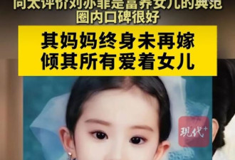 向太曝刘亦菲与其母私事，引网民热议