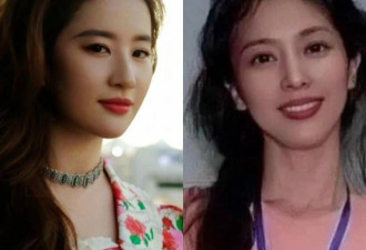 向太曝刘亦菲与其母私事，引网民热议