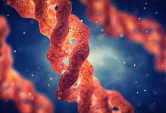史上最大规模胶原蛋白研究：真实效果如何？
