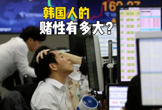 新生儿都在炒股！韩国人的赌性有多大？